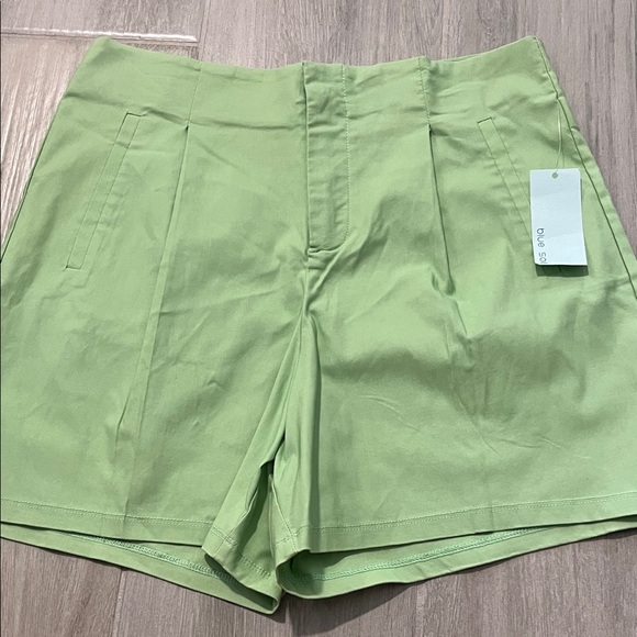 Chic Mint High-Waisted Shorts - Picture 1 of 3